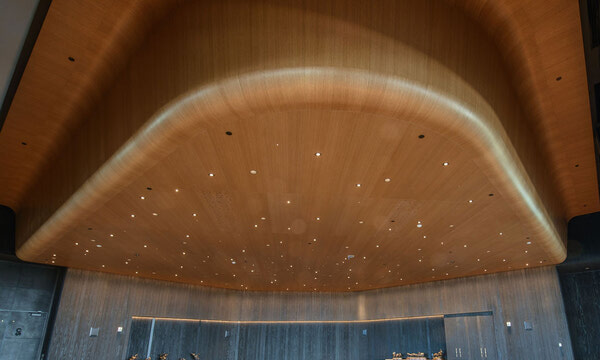 Acoustical Walls and Ceilings